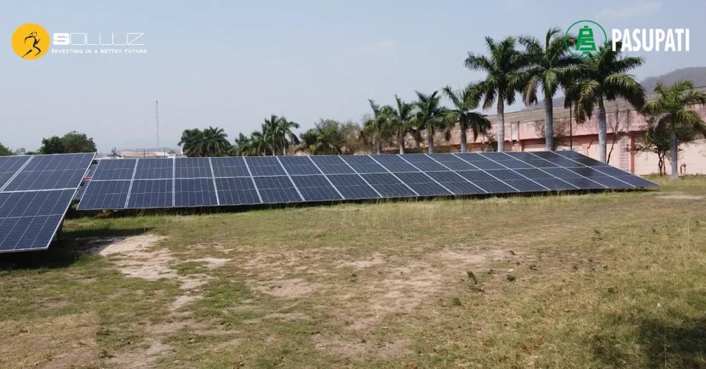 Net Zero